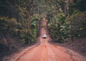 Mount Mee Forest Drive
